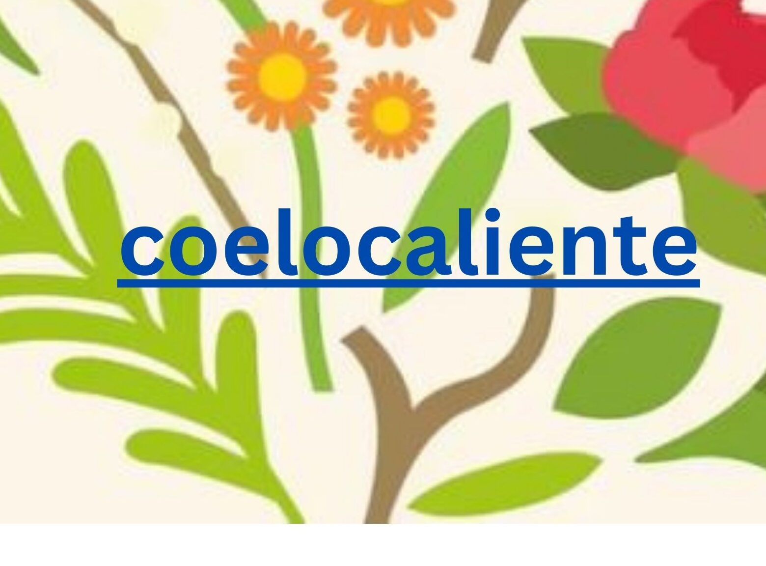 Coelocaliente: The Rising Star of Culinary Heat